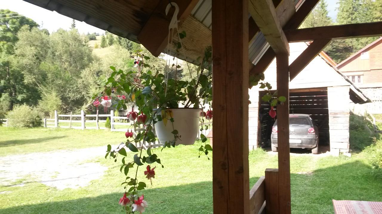 Cabana Aurora Villa Arieşeni Exterior foto